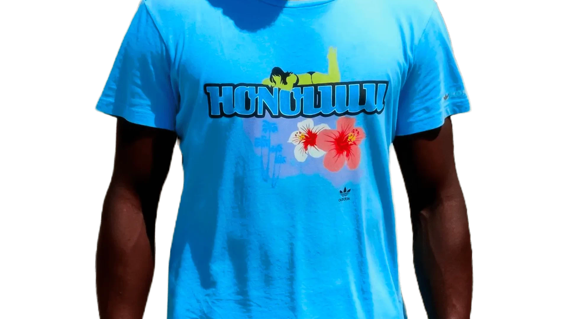Men's 2007 Honolulu Hawaï TS by Adidas Originals: Eager (EnLawded.com file #lmchk66182ip2y123827kg9st)